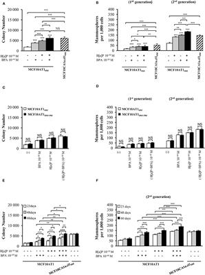 Long-Term Exposure of Early-Transformed Human Mammary Cells to Low Doses of Benzo[a]pyrene and/or Bisphenol A Enhances Their Cancerous Phenotype via an AhR/GPR30 Interplay